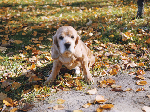 Photos 401 600 Monaghan 2008 12 09  585